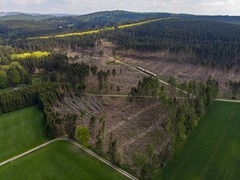 Blick in eine gerumte Sturmflche